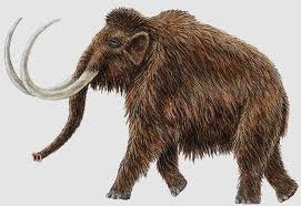 mamut prehistórico