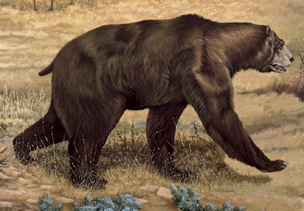 oso prehistórico