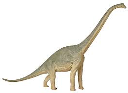 Como se llaman los dinosaurios que comen plantas