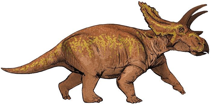 Dibujo de un Anchiceratops