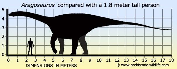 Descripción del Aragosaurus