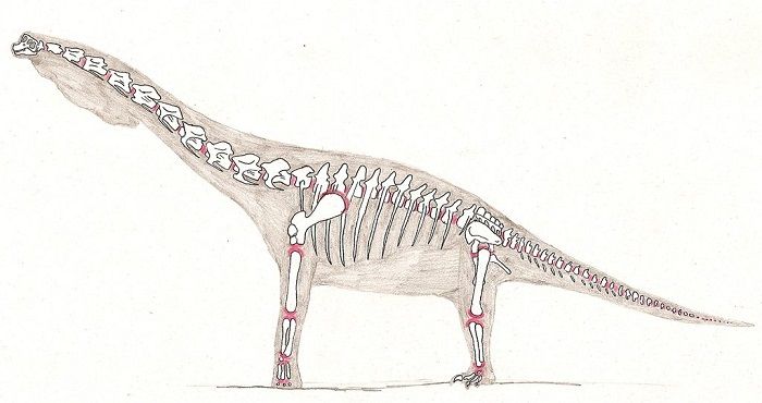 Descripción del Giraffatitan