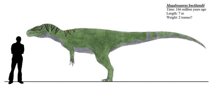 Caracteristicas Megalosaurus