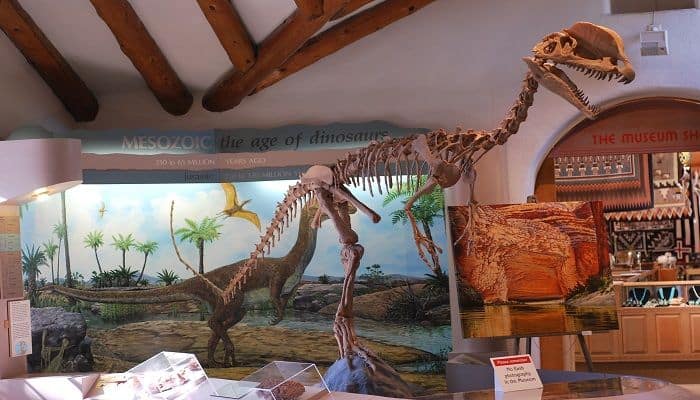 Reconstrucción del Dilophosaurus en el Museo del Norte de Arizona