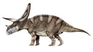 Dibujo de un Torosaurus