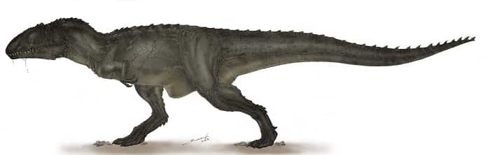 Características del Carcharodontosaurus